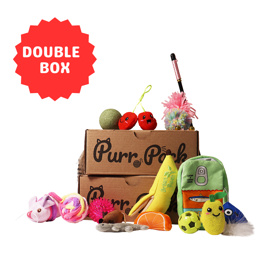 Purr Pack - Abonnement de 12 mois - Jouets uniquement Double Boîte