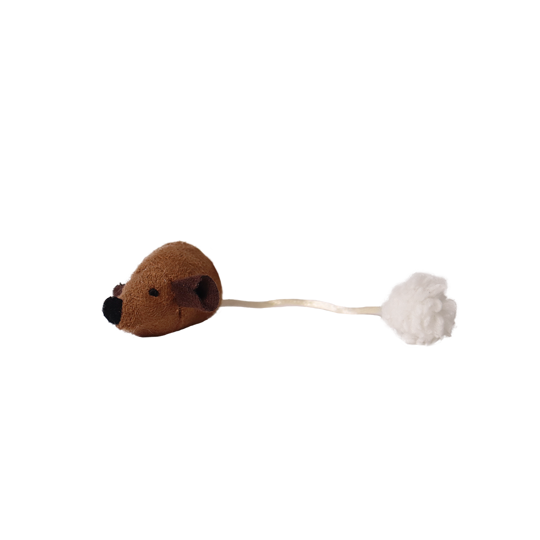 Bouteille de Whisky