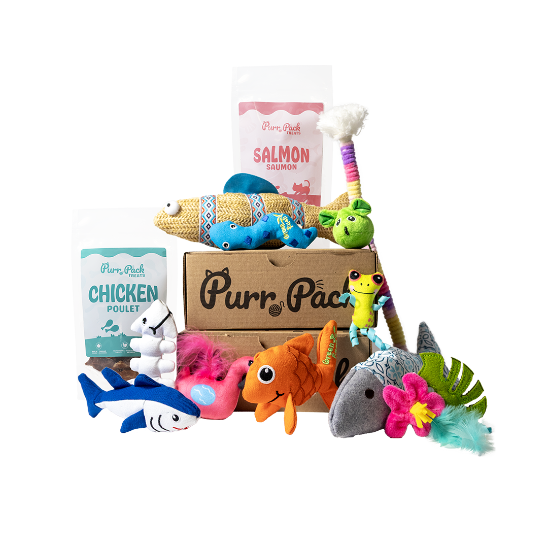 Purr Pack - Monthly Subscription - Toys & Treats