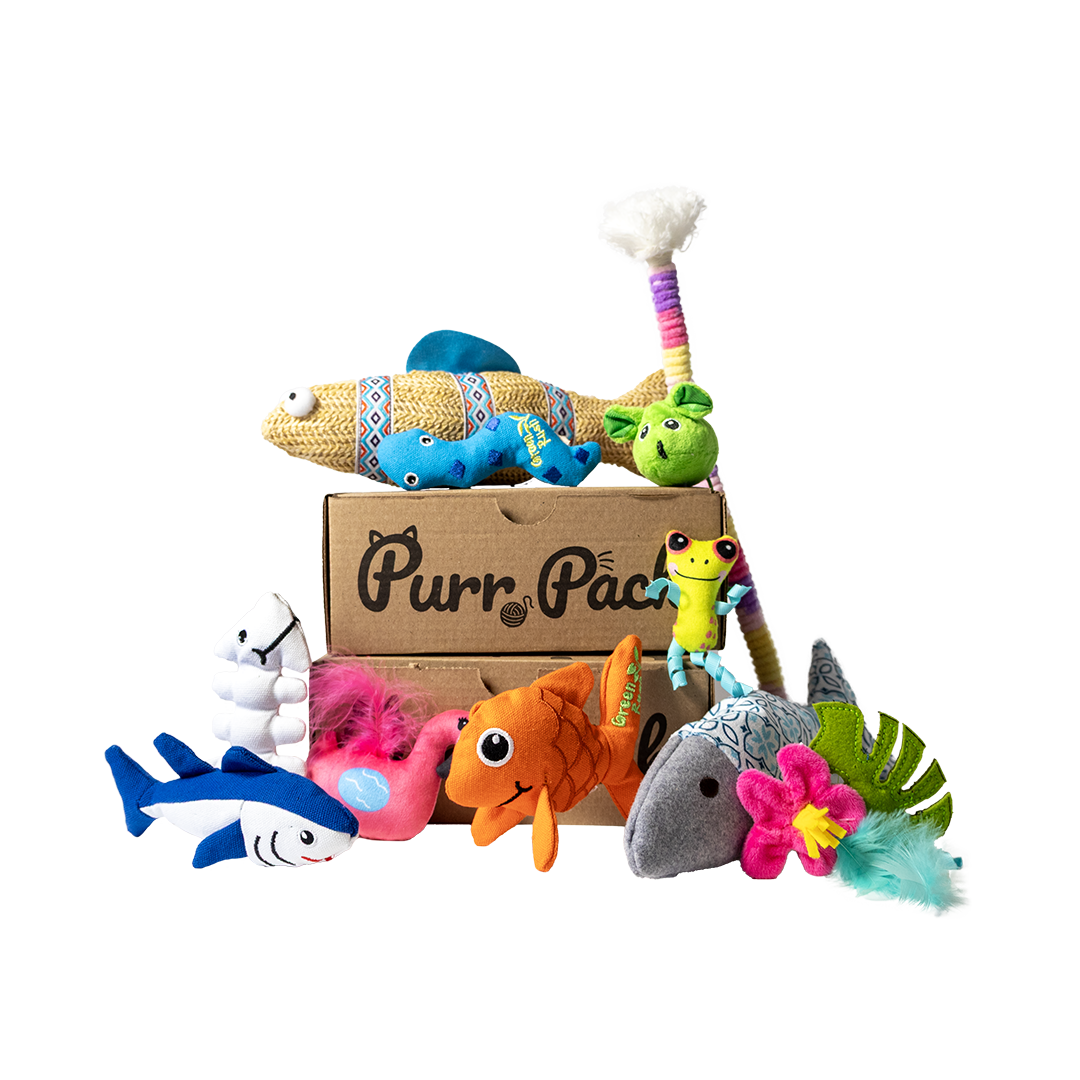 Purr Pack - Monthly Subscription - Toys Only