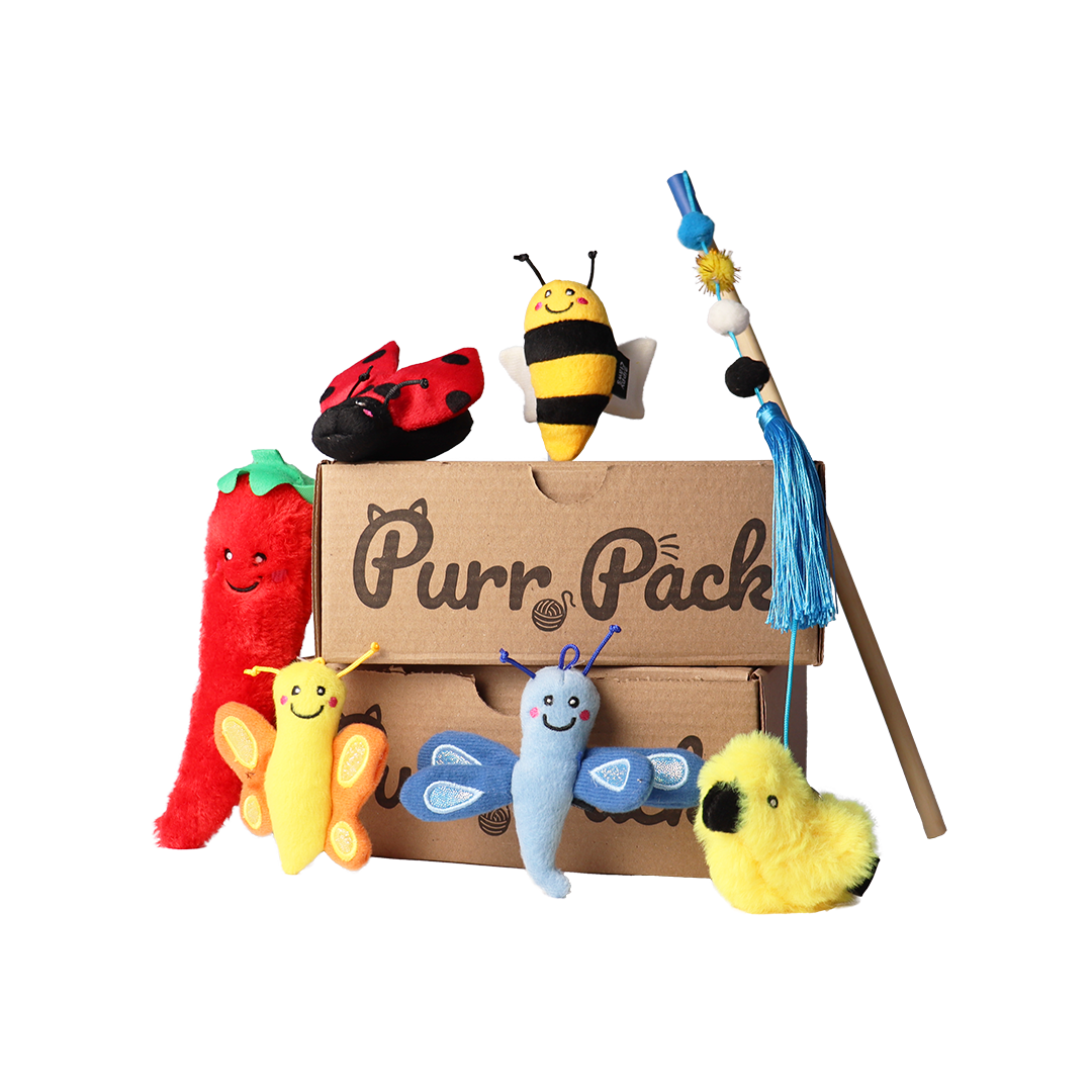 Purr Pack - Abonnement mensuel - Jouets uniquement