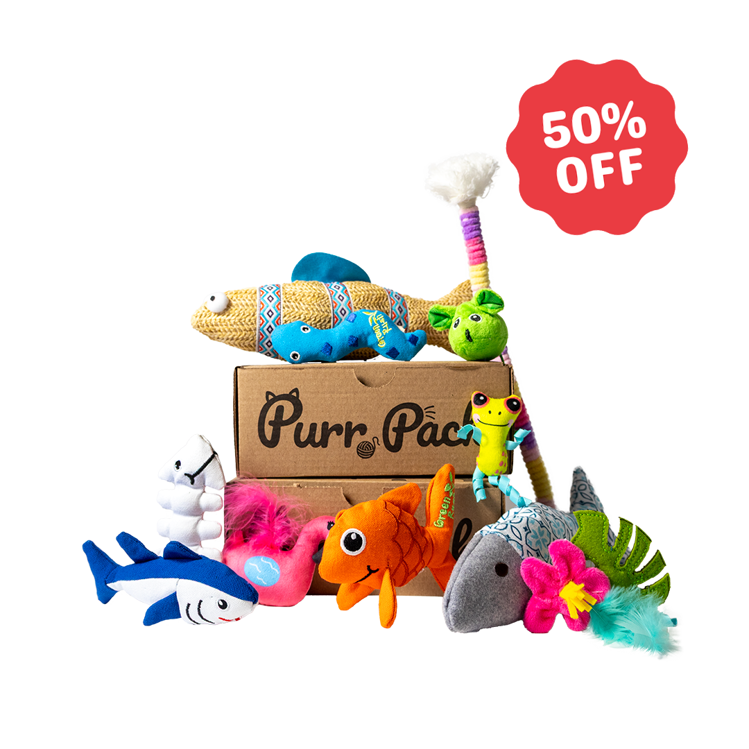 Purr Pack - Abonnement de 12 mois - Jouets uniquement 50% rabais 1re boîte
