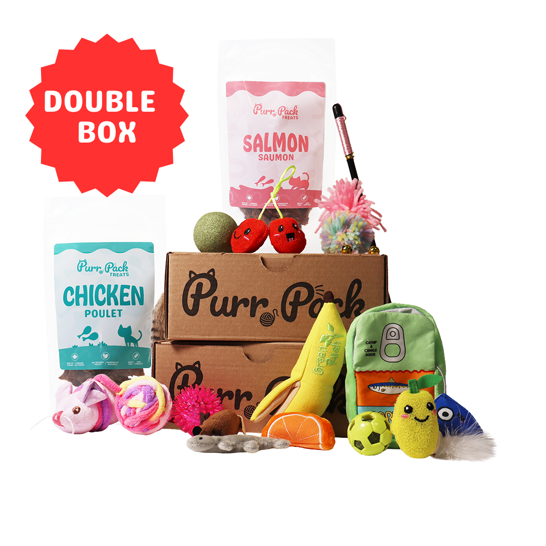 Purr Pack - Abonnement de 12 mois - Jouets & Gâteries Double Boîte
