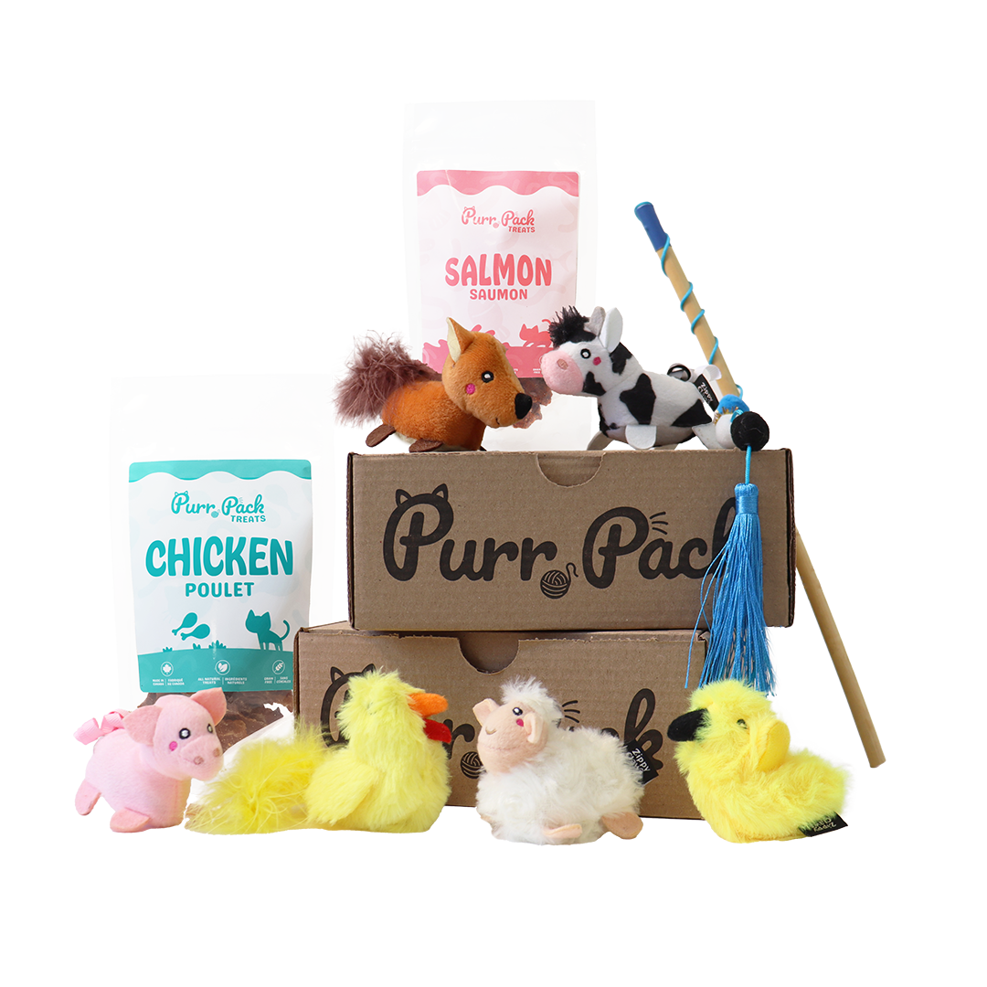 Purr Pack - 12 Month Subscription - Toys & Treats