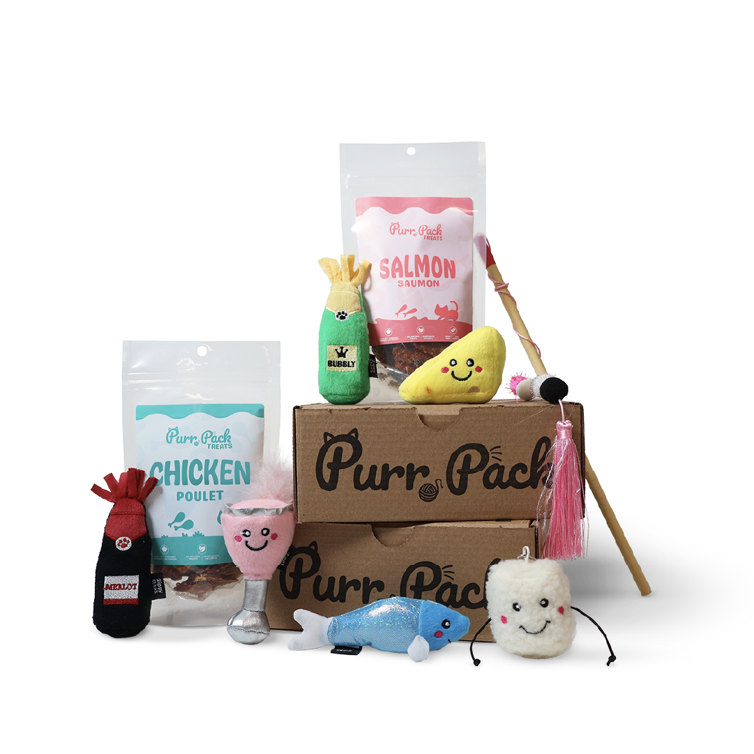 Purr Pack - 12 Month Subscription - Toys & Treats