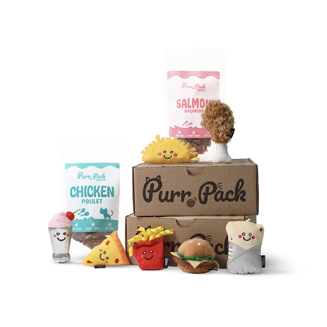 Purr Pack - 12 Month Subscription - Toys & Treats