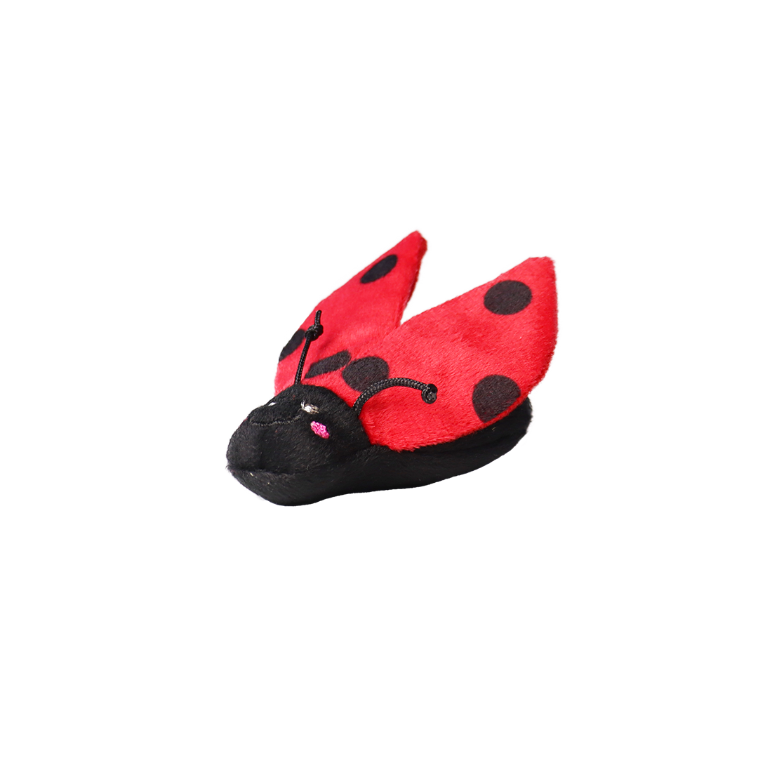 Ladybug