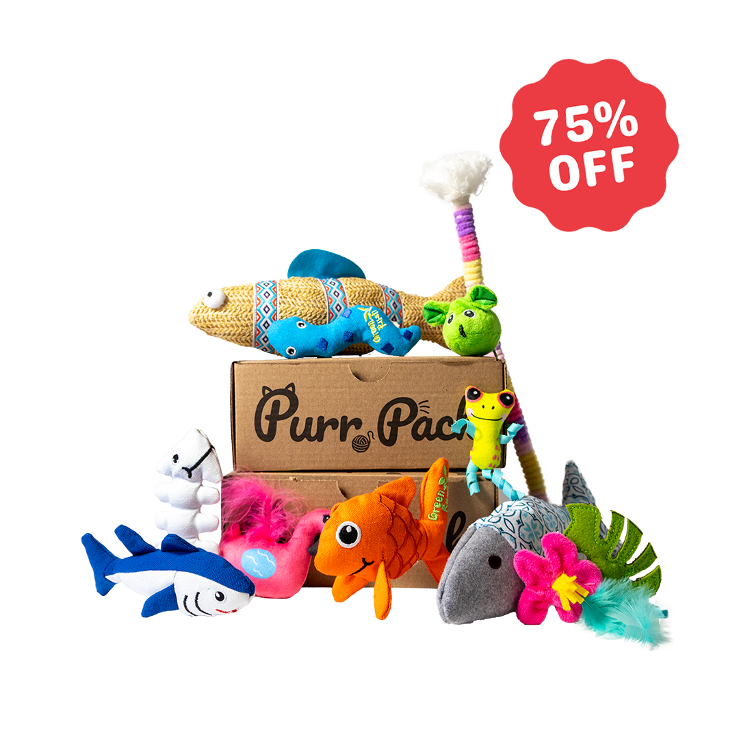 Purr Pack - Monthly Subscription - Toys Only 75% Off 1st Box