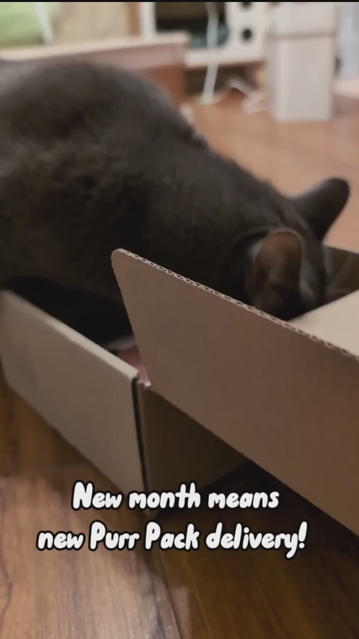 Purr Pack Cat Subscription Box | Cat Toys, Treats & Fun Delivered