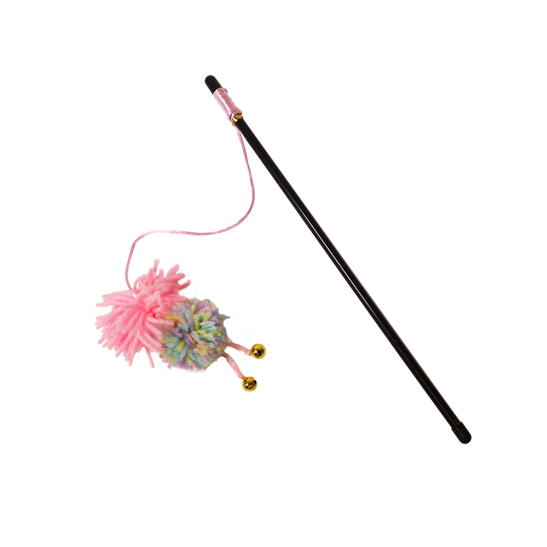 Bâton Canard
