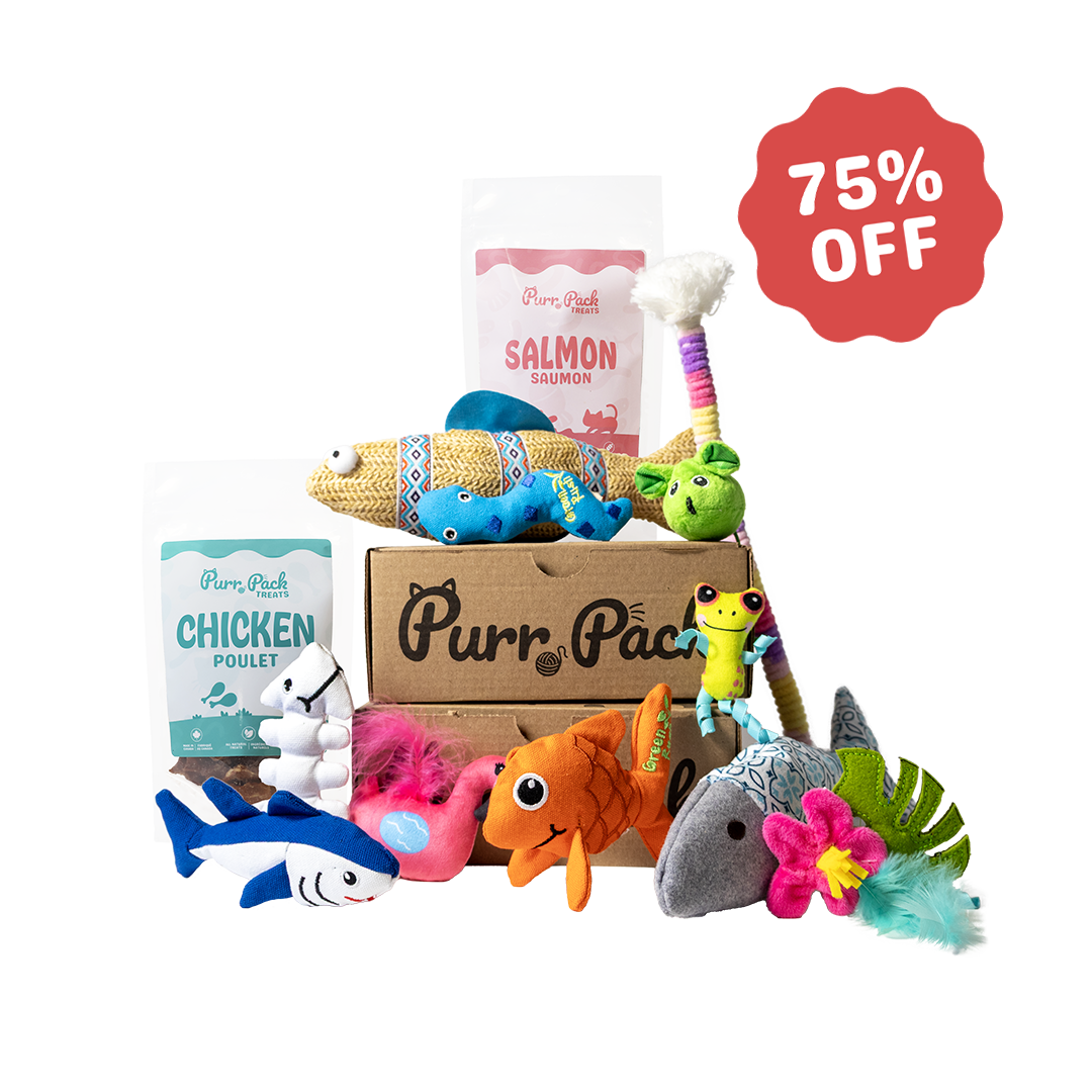 Purr Pack - Monthly Subscription - Toys & Treats 75% Off 1st Box